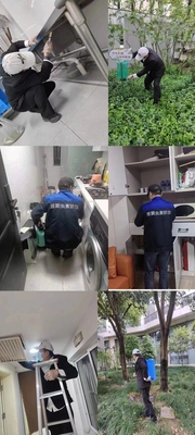 上海灭鼠灭白蚁除白蚁灭蟑螂跳蚤专业公司上门家庭单位服务
