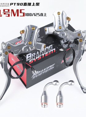 PTENG PT90直推上泵 电控版 适用九号M5100/125直上 刹车上泵