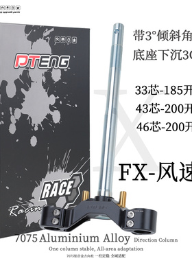 PTENG方向柱FX风速FXpro电动车电摩pt三星柱带3°倾角33/43/46芯