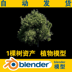 blender模型 森林植物树木模型1棵树工程文件blender资产
