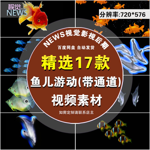 海底世界 鱼游动 鱼群特写金鱼带Alpha通道可抠像影视视频素材b35