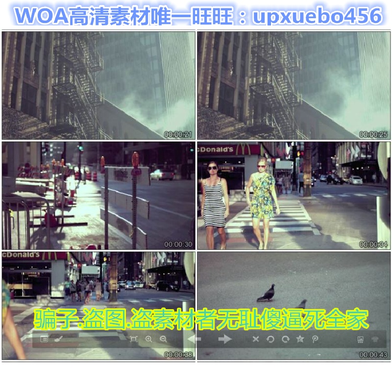 北美洲美国芝加哥城市景观高楼红绿灯鸽子商业街视频素材