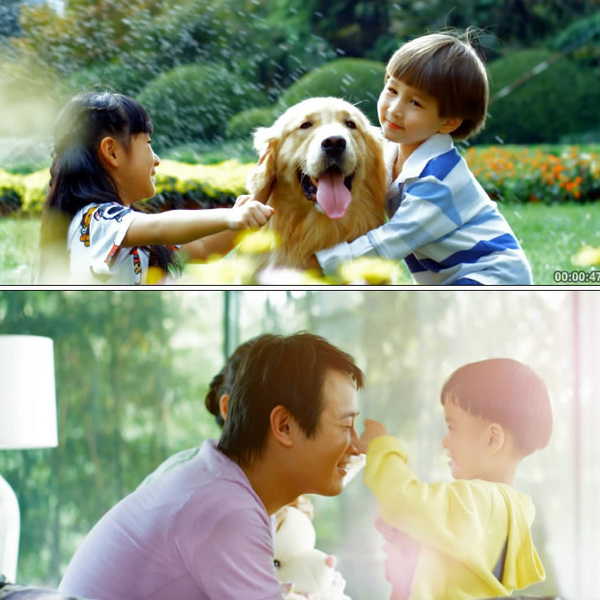 家庭生活能源环保房地产宣传片一家人儿童老人高清实拍视频素材