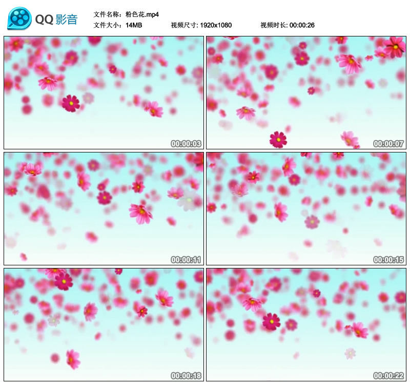 粉红色花瓣小花朵飘落可循环视频素材舞台大屏幕背景