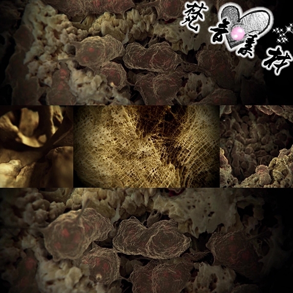 非实物  非教程   付款后旺旺聊天窗口发送网盘下载链接  素材详情请看详情页。