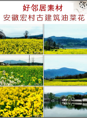 安徽宏村徽派建筑农村山村乡村徽州水中鸭群鸭子高清实拍视频素材