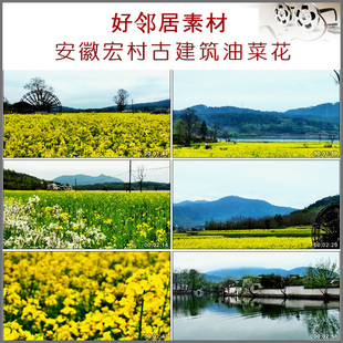安徽宏村徽派建筑农村山村乡村徽州水中鸭群鸭子高清实拍视频素材