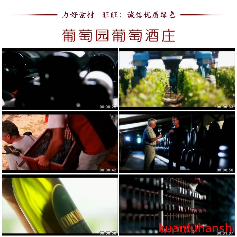 QD131葡萄园葡萄酒庄红酒形象广告片高清实拍红酒品酒视频素材