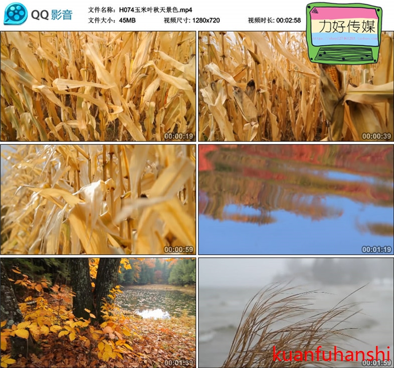 冬天树林森林雪景高清实拍视频素材秋天枫叶枫树玉米地秸秆