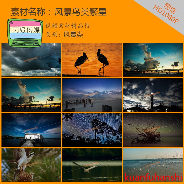 风景高清视频素材猫头鹰乌云闪电飘动的云椰子树鸟起飞云繁星视频