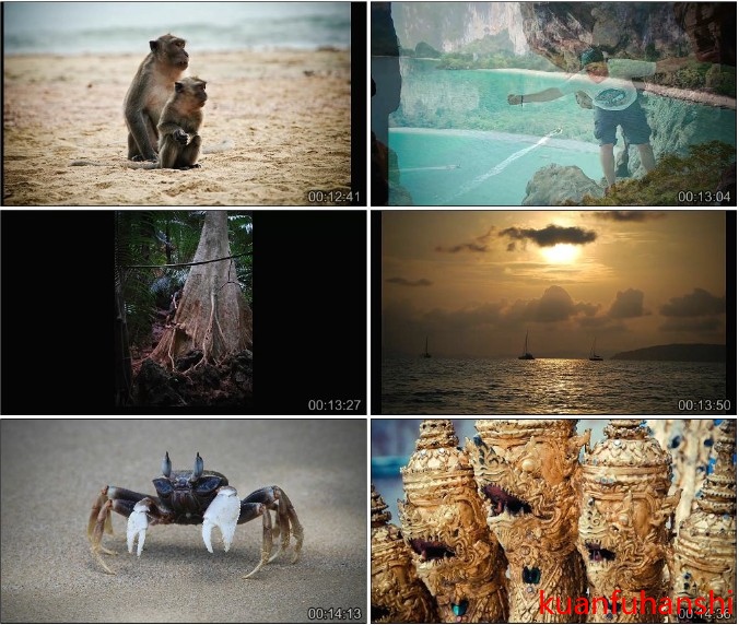 高清实拍视频素材图片版泰国曼谷游大佛寺普吉岛猴大象蟹船沙滩海