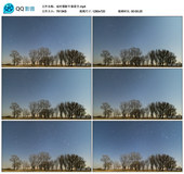 延时摄影树星海 郊外蓝色晴空夜空树木树枝时间流逝 视频素材