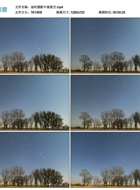 延时摄影树星海 郊外蓝色晴空夜空树木树枝时间流逝 视频素材