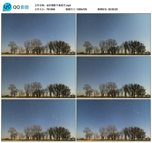 延时摄影树星海 郊外蓝色晴空夜空树木树枝时间流逝 视频素材