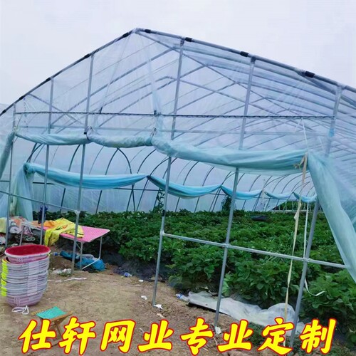 西瓜大棚封口网防鸟网草莓大棚口封门口网棚联动棚出口用网防护网