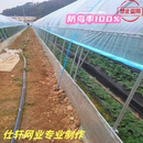 农用草莓俩侧通风口防鸟网葡萄果园天网西瓜大棚口防鸟果树防护网