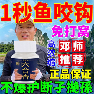 六合香鱼粉千里香钓鱼小药开口剂黑坑野钓全能诱鱼添加剂 正品