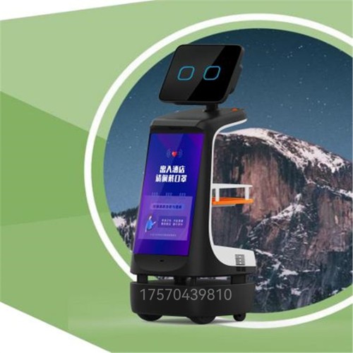 洛必德商用智能接待服务机器人酒店商场医院自动迎宾引导引领讲解