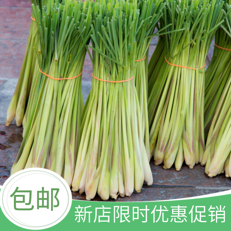 新鮮香茅草檸檬草食用檸檬香泰國雲南冬陰功湯西餐調味料500g包郵在類目 水產肉類/新鮮蔬果/熟食, 新鮮蔬菜/蔬菜製品, 新鮮蔬菜, 其它中 - 來自Buy2taobao.com提供專業的淘寶代購服務