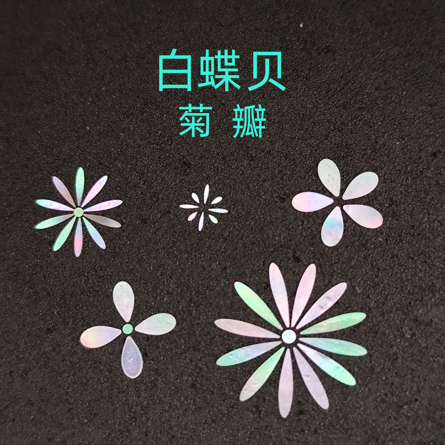 螺钿白蝶贝薄片菊瓣漆器镶嵌0.1大漆学生毕设美甲手镯耳钉DIY材料