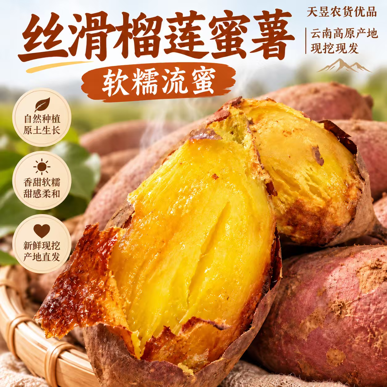 云南文山鸣门金时蜜薯粉糯甜新鲜