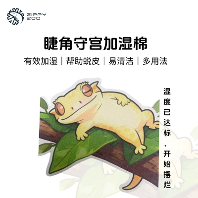 R属睫角守宫乌龟家加湿棉一物多用躺平仔有冰仔粉肠仔巨人仔