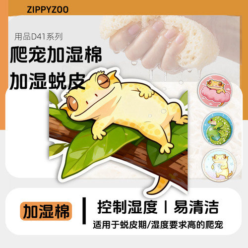 R属睫角守宫乌龟家加湿棉一物多用躺平仔有冰仔粉肠仔巨人仔