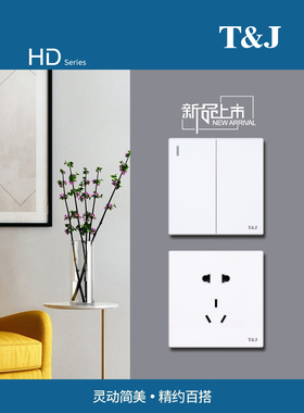 天基HD系列白色开关插座 墙壁暗装一开五孔带USB16A空调面板多控