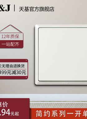 天基TJ开关简约10a一开单控开关面板单开白色墙壁鎏金黑灰色家用