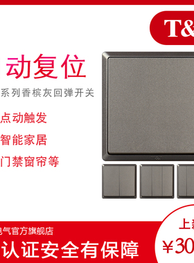 天基TJ开关插座简约自动复位回弹开关灰色智能家居弱电系统专用86