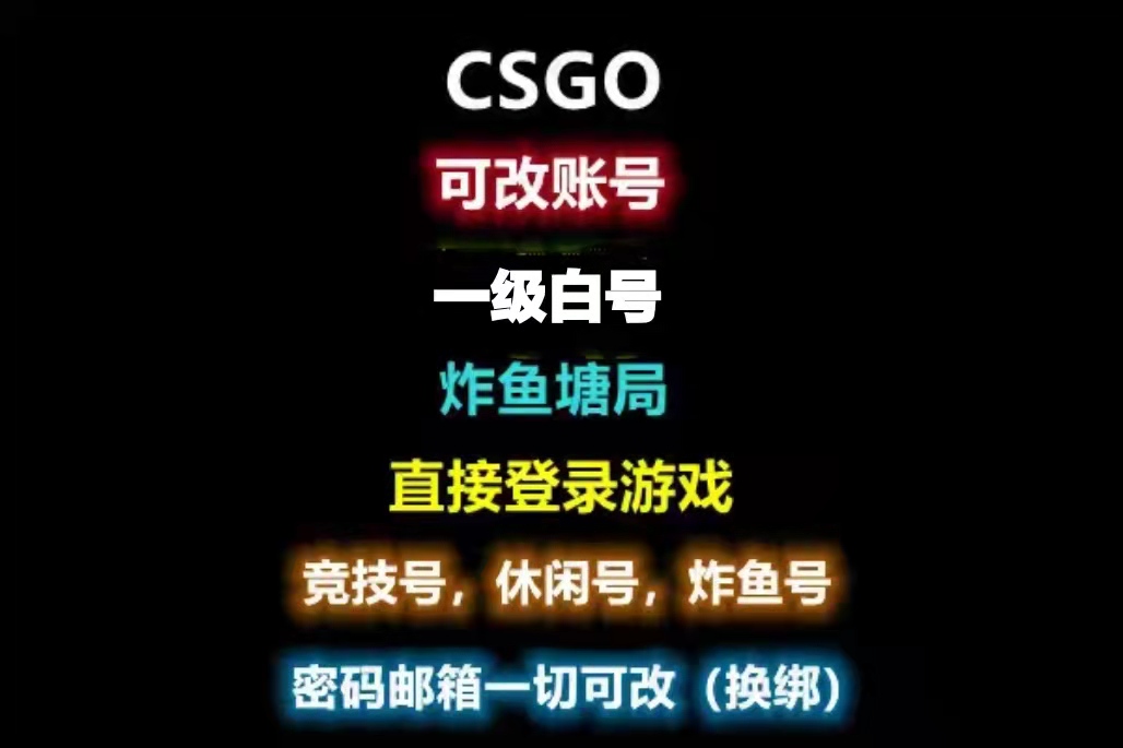 csgo2白号国际服1级小号永久使用可改一切steam账户小号白号空号3