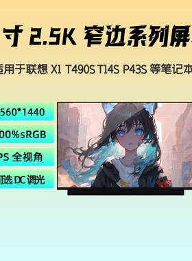 联想ThinkPad X1 T490S T14S P43S 升级2.5k屏幕LP140QH2-SPC1/D1