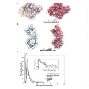 材料类分子动力学(分子/模拟/DFT计算/设计)含DFT计算模拟复现