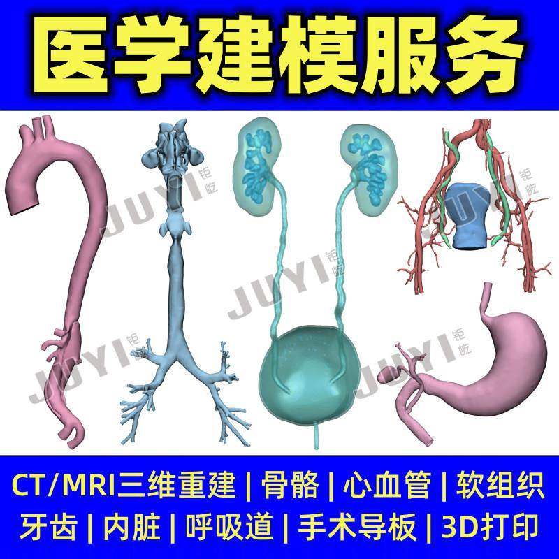 医学CT建模/MR三维重建肾脏胃肠呼吸道/3D打印心脏血管腹主动脉弓,商务/设计服务,2D/3D绘图,淘宝优惠券,粉丝福利购,淘宝优惠卷