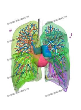 Mimics肺部CT医学影像三维重建DICOM影像STL NII文件三维可视化
