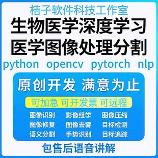Python代編醫(yī)學圖像分割深度學習語義分割計算機視覺生成對抗網絡