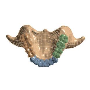 骨科有限元分析/abaqus/ansys/mimics/geomagic/三维重建