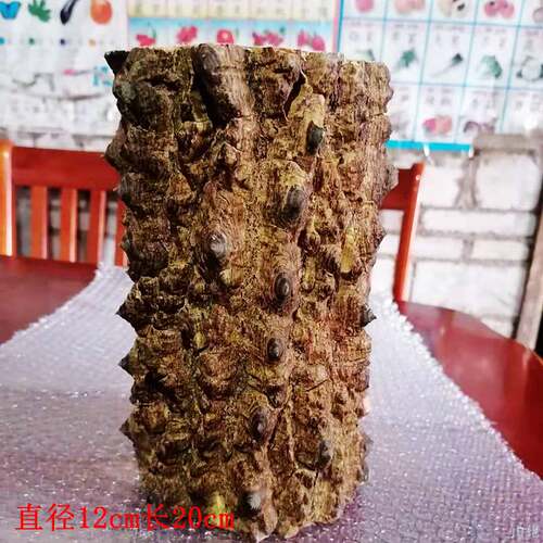 降龙木原木装饰镇宅玄关把玩摆件