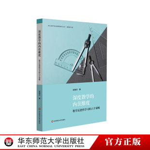 深度教学的内在维度 数学反思性学习的六个策略 核心素养导向的课堂教学丛书 数学教学策略 小学数学案例 华东师范大学出版社