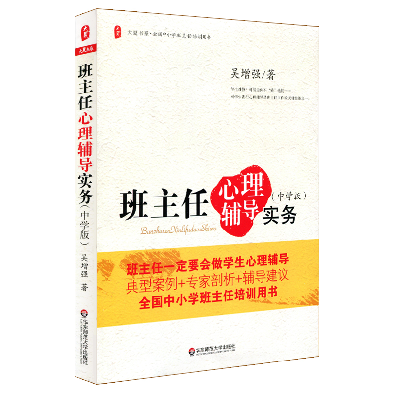 班主任心理辅导实务中学版正版图书大夏书系教师读物教育理论华东师范大学出版社