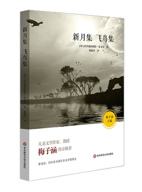 新月集 飞鸟集 泰戈尔著 儿童文学作家梅子涵作序推荐名著 原版经典插图 青少年课外阅读诗集 华东师范大学出版社