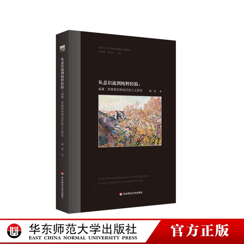 从意识流到纯粹经验威廉·詹姆斯的彻底经验主义研究实用主义正版华东师范大学出版社-封面