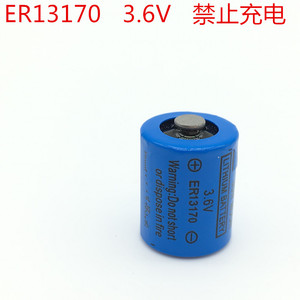 正品  ER13170 原装 ER13170 锂电池 设备主板 3.6V 锂电池