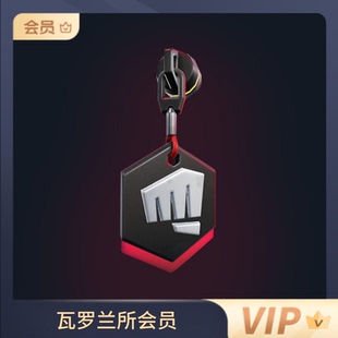 system 瓦罗兰所会员 win11 win10· error 瓦罗兰特系统安装