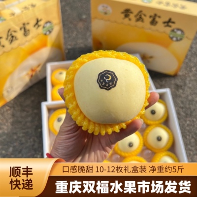又脆又甜~田二哥黄金奶油富士苹果净重约5斤礼盒装新鲜水果双福