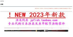 23款 Daiwa 波濤 1.25-50 1.5-53 1.75-53 2-50 3-53HR N 矶钓竿