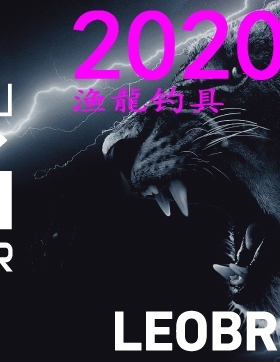 日本 Daiwa 达亿瓦 LEOBRITZ 500JP 电动轮 PE6号300m 20款