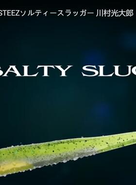 DAIWA 达亿瓦 STEEZ SALTY SLUGGER 软虫 20款
