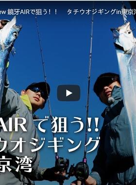 日本Daiwa 达亿瓦 鏡牙AIR 63B-2 64B-2MT 65S-3 船钓带鱼竿 20款