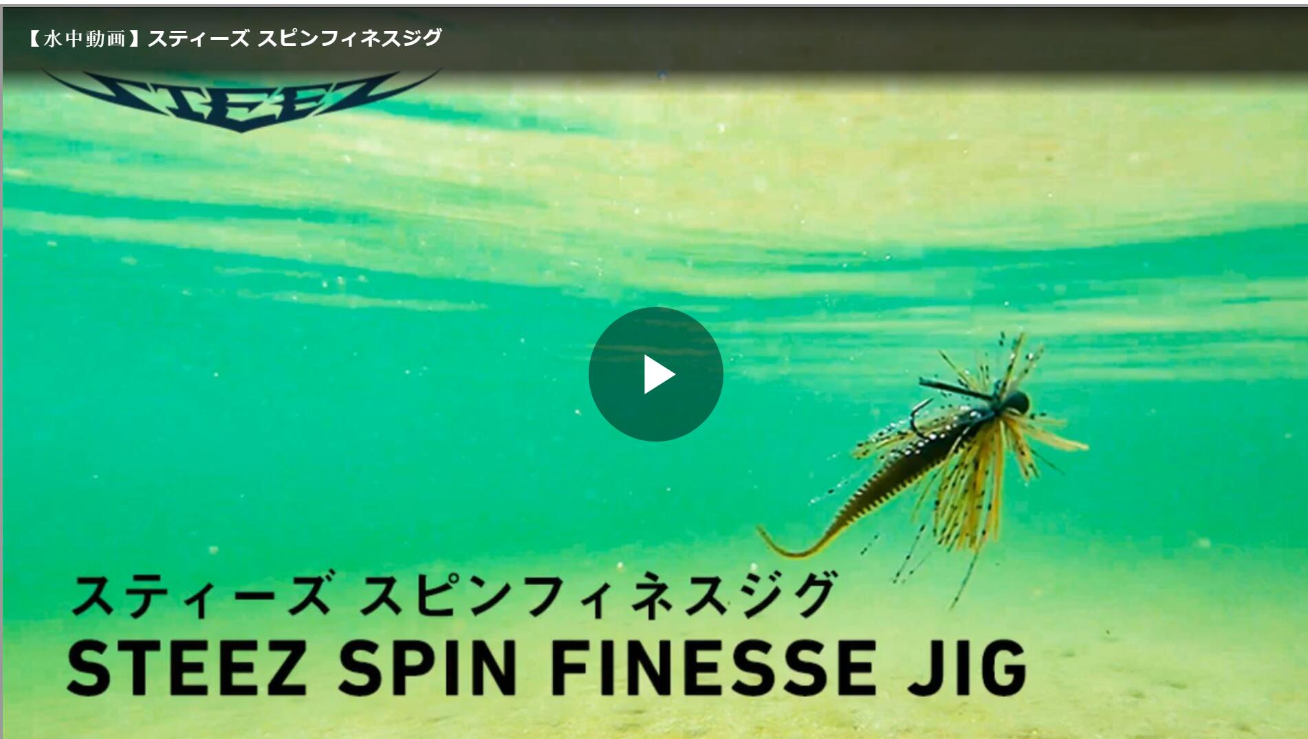 日本 DAIWA达亿瓦 STEEZ SPIN FINESSE JIG胡须佬 20款-封面